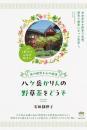 八ケ岳かりんの野草茶をどうぞ 体の健康と心の健康