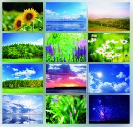 ERPミラクルブックカバー