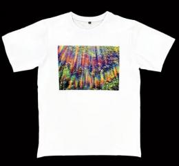 虹のカーテン・Tシャツ