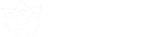 ヒカルランド / 千賀 一生